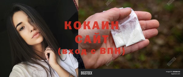 соль ск Горнозаводск