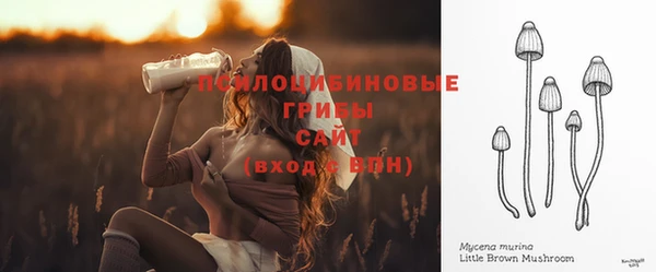 соль ск Горнозаводск