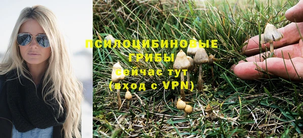 соль ск Горнозаводск