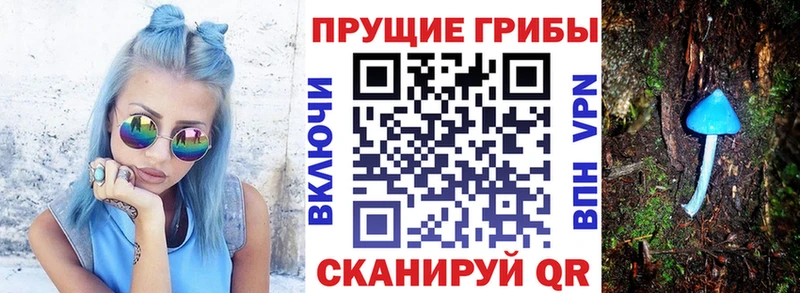 Псилоцибиновые грибы Cubensis  Джанкой 
